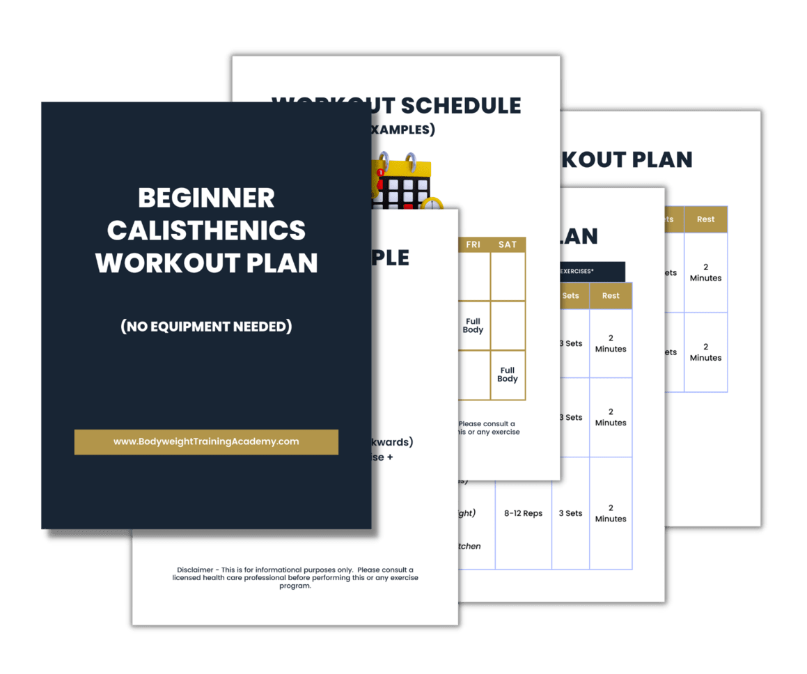 Beginner Calisthenics Workout Plan Free PDF No Equipment 