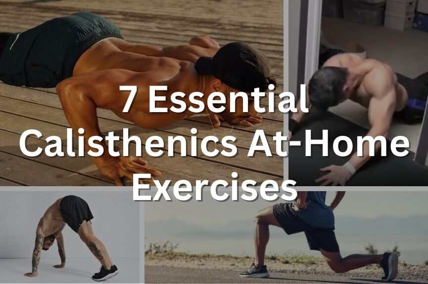 calisthenics exercises for beginners at home