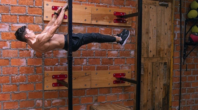 can you gain muscle with calisthenics reddit