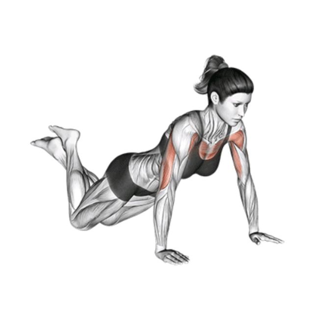 knee push up form top